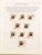 Kavel 1237 (7)
