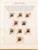Kavel 1237 (248)