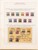 Kavel 1237 (255)