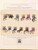 Kavel 1237 (281)