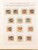 Kavel 1237 (405)