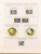 Kavel 1237 (413)