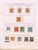 Kavel 1237 (457)