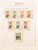 Kavel 1237 (478)