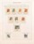 Kavel 1237 (484)