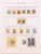 Kavel 1237 (500)
