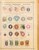 Kavel 1001 (27)