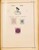 Kavel 1001 (203)