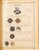 Kavel 1001 (218)