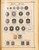 Kavel 1001 (231)
