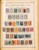 Kavel 1001 (282)