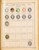 Kavel 1001 (290)
