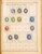 Kavel 1001 (295)