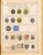 Kavel 1001 (297)