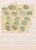 Lot 1078 (27)