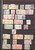 Lot 1020 (39)