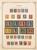 Lot 1131 (17)