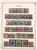 Lot 1131 (23)