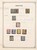 Lot 1131 (58)