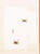 Kavel 1046 (13)