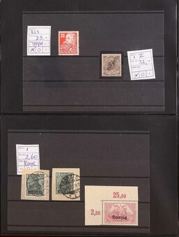 Lot 1137