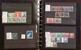 Lot 1137 (14)