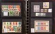 Lot 1137 (15)