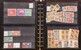 Lot 1137 (27)