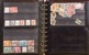 Lot 1137 (29)