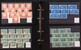 Lot 1137 (51)