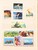 Kavel 1091 (5)
