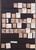 Lot 3006 (17)