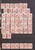 Lot 3009 (54)