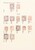 Kavel 2688 (17)