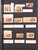 Lot 1156 (411)