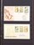 Lot 1156 (491)
