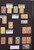 Lot 3001 (244)
