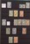 Lot 3001 (282)