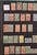Lot 3001 (294)