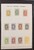 Lot 3001 (425)