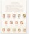 Kavel 2729 (82)
