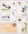 Lot 1684 (72)