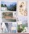 Lot 1684 (111)