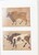 Lot 1684 (176)