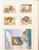 Lot 1684 (217)