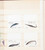Lot 1684 (244)