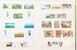 Lot 1684 (291)