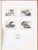 Lot 1684 (303)