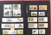 Lot 1684 (338)