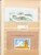 Lot 1684 (365)